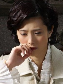 天涯赤子心剧情介绍_纵横剧情网