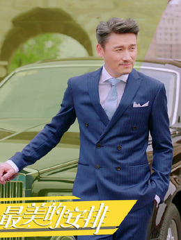 最美的安排剧情介绍_纵横剧情网