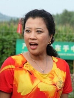 豆腐西施杨七巧剧情介绍_纵横剧情网