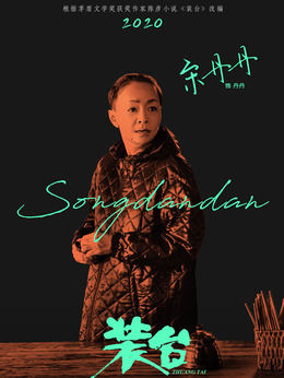 装台剧情介绍_纵横剧情网