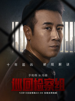 巡回检察组剧情介绍_纵横剧情网