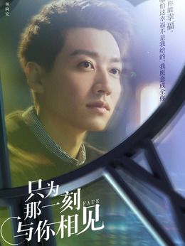 只为那一刻与你相见剧情介绍_纵横剧情网