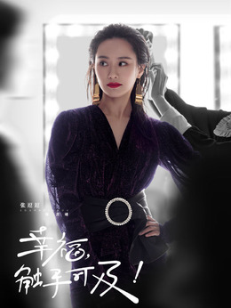 幸福，触手可及！剧情介绍_纵横剧情网