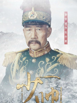 少帅剧情介绍_纵横剧情网