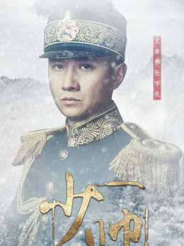 少帅剧情介绍_纵横剧情网