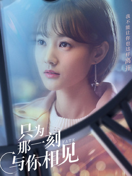 只为那一刻与你相见剧情介绍_纵横剧情网