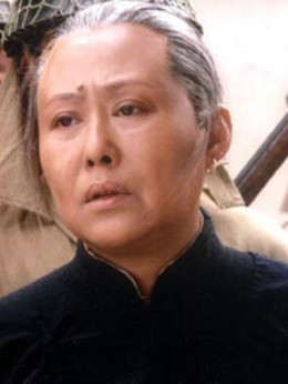 野火春风斗古城剧情介绍_纵横剧情网