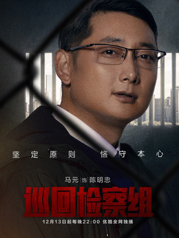 巡回检察组剧情介绍_纵横剧情网