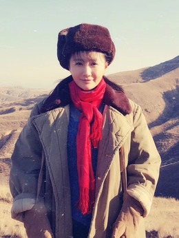 右玉和她的县委书记们剧情介绍_纵横剧情网