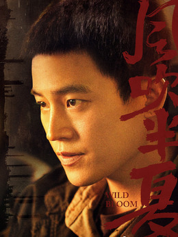 风吹半夏剧情介绍_纵横剧情网