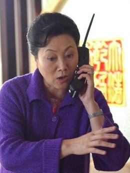 小麦进城剧情介绍_纵横剧情网
