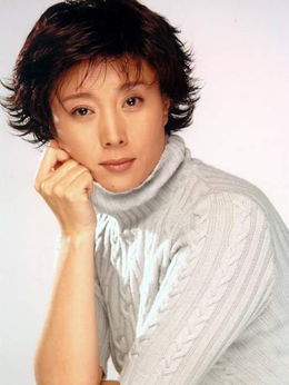 城里城外剧情介绍_纵横剧情网