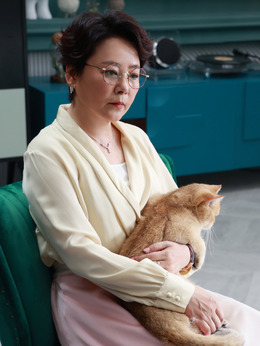 林深见鹿剧情介绍_纵横剧情网