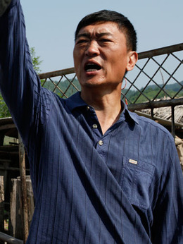 豆腐西施杨七巧剧情介绍_纵横剧情网