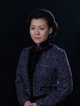 五号特工组之偷天换月剧情介绍_纵横剧情网