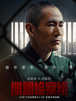 巡回检察组剧情介绍_纵横剧情网