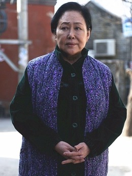 平凡岁月剧情介绍_纵横剧情网