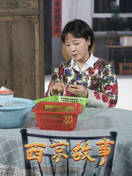 西京故事剧情介绍_纵横剧情网