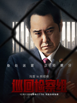 巡回检察组剧情介绍_纵横剧情网