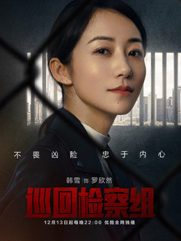 巡回检察组剧情介绍_纵横剧情网