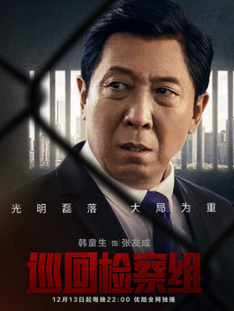 巡回检察组剧情介绍_纵横剧情网