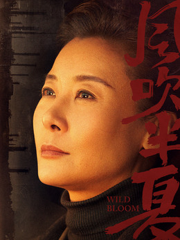 风吹半夏剧情介绍_纵横剧情网