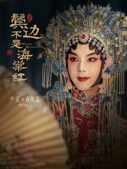 鬓边不是海棠红剧情介绍_纵横剧情网