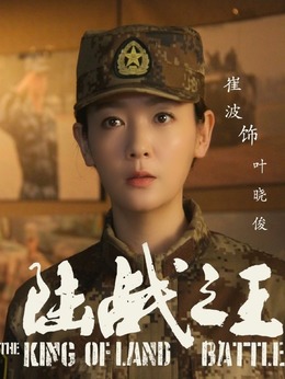 陆战之王剧情介绍_纵横剧情网