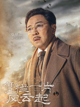凭栏一片风云起剧情介绍_纵横剧情网