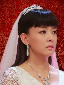 我和她的传奇情仇剧情介绍_纵横剧情网