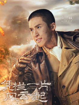 凭栏一片风云起剧情介绍_纵横剧情网