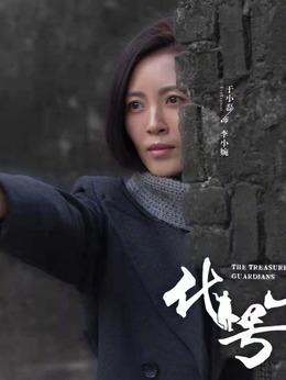 代号·山豹剧情介绍_纵横剧情网