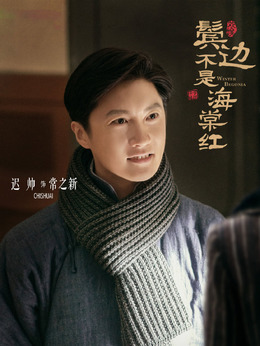 鬓边不是海棠红剧情介绍_纵横剧情网