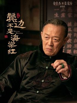 鬓边不是海棠红剧情介绍_纵横剧情网