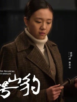 代号·山豹剧情介绍_纵横剧情网