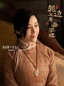 鬓边不是海棠红剧情介绍_纵横剧情网