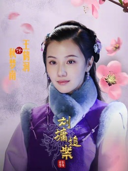 刘墉追案剧情介绍_纵横剧情网