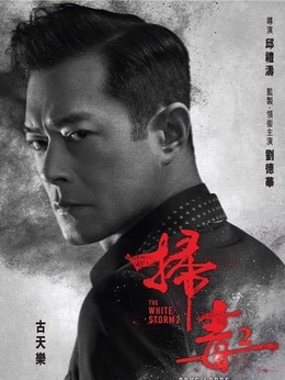 扫毒2：天地对决剧情介绍_纵横剧情网