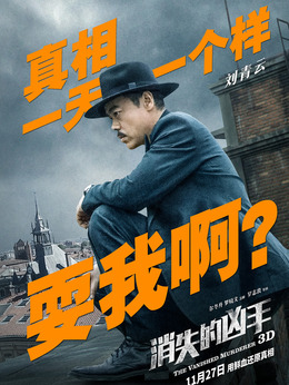 消失的凶手剧情介绍_纵横剧情网