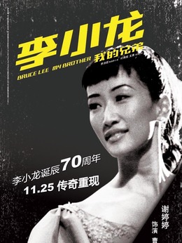 李小龙剧情介绍_纵横剧情网