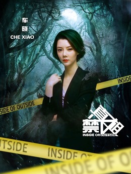 真相禁区剧情介绍_纵横剧情网