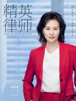 精英律师剧情介绍_纵横剧情网