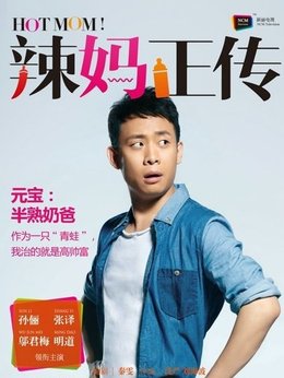 辣妈正传剧情介绍_纵横剧情网