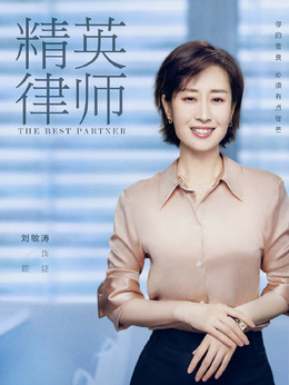 精英律师剧情介绍_纵横剧情网