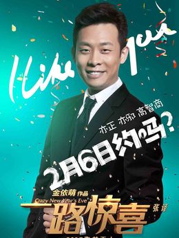 一路惊喜剧情介绍_纵横剧情网