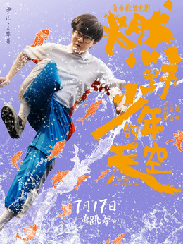 燃野少年的天空剧情介绍_纵横剧情网