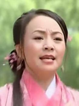 无敌县令剧情介绍_纵横剧情网