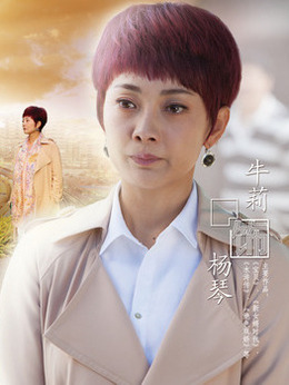 麻辣芳邻剧情介绍_纵横剧情网