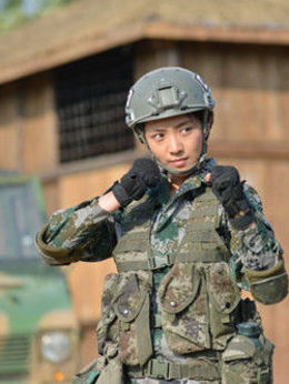我是特种兵之火凤凰剧情介绍_纵横剧情网