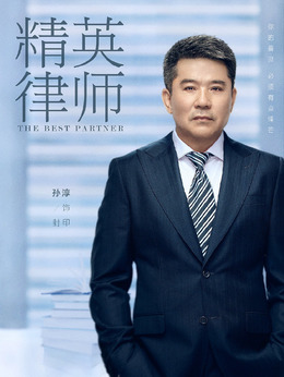 精英律师剧情介绍_纵横剧情网